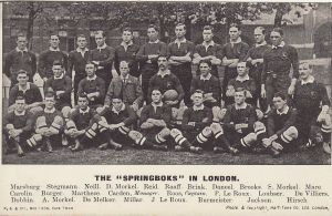 1906 Springboks